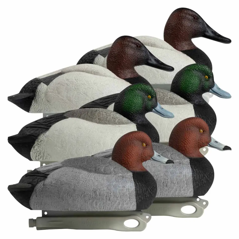 Diver Ducks | Hardcore™ Waterfowl