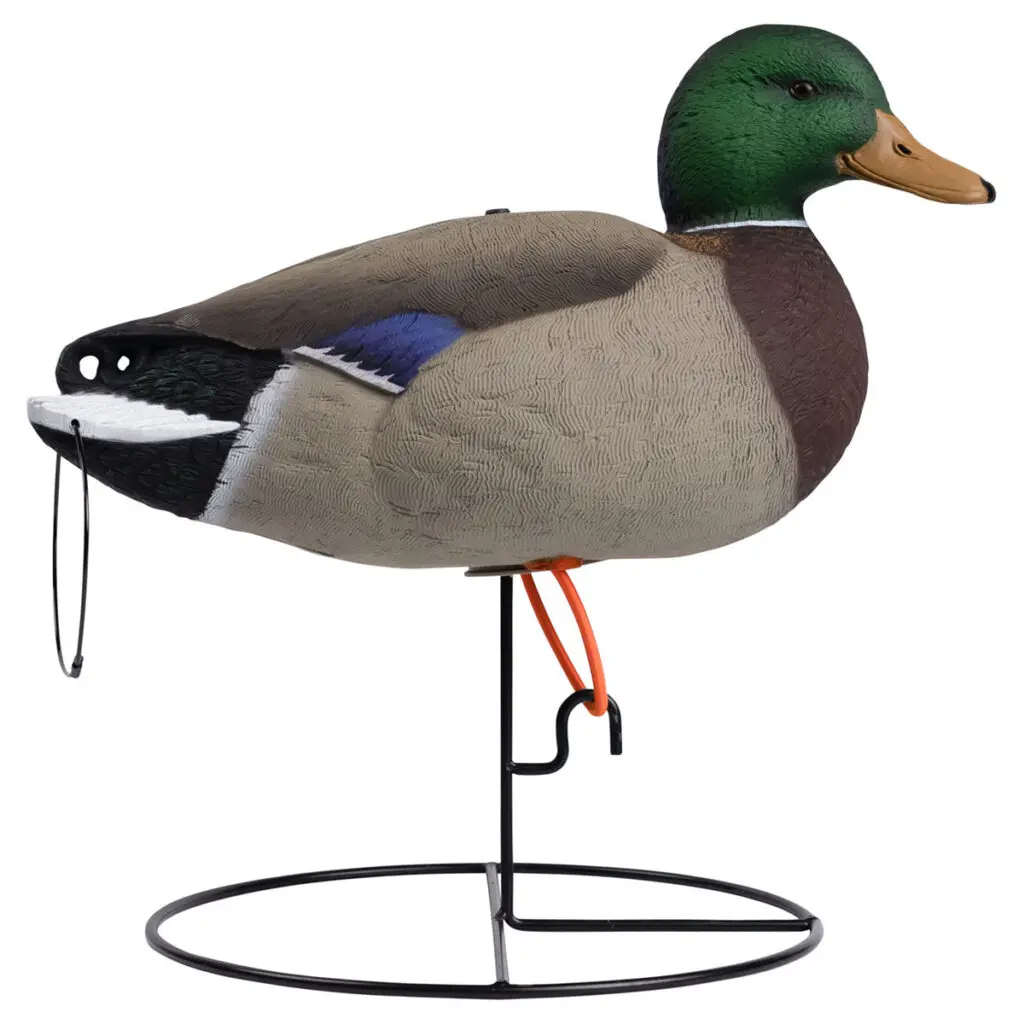 Rugged Series Full Body Mallard Decoys active drake right facing