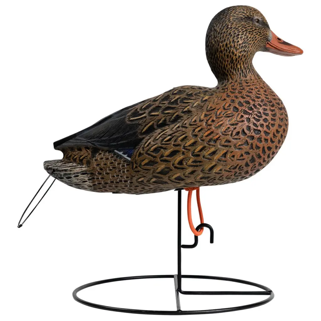 Rugged Series Full Body Mallard Decoys active hen right facing