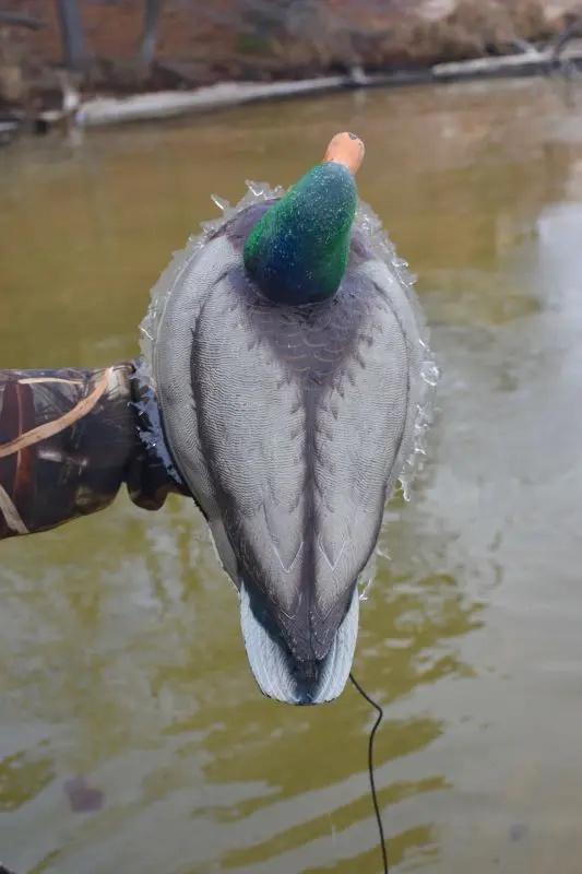 Be Prepared For North Dakota Waterfowling Weather